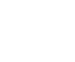 Visser Tuindesign Logo